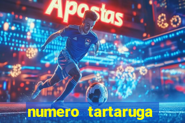 numero tartaruga jogo do bicho